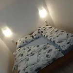 زيرا شقة فلاسيتش