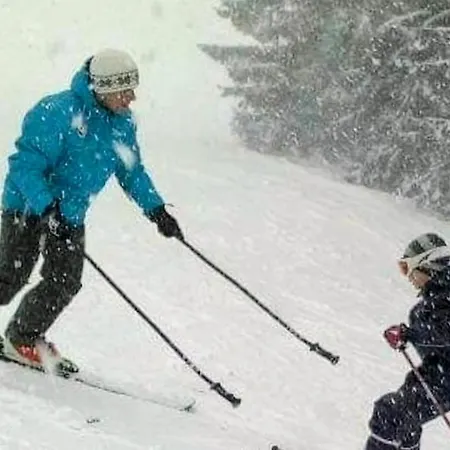 žera 公寓 弗拉西克